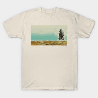 Lone Tree T-Shirt